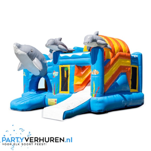 Bouncy Castle Dolphin